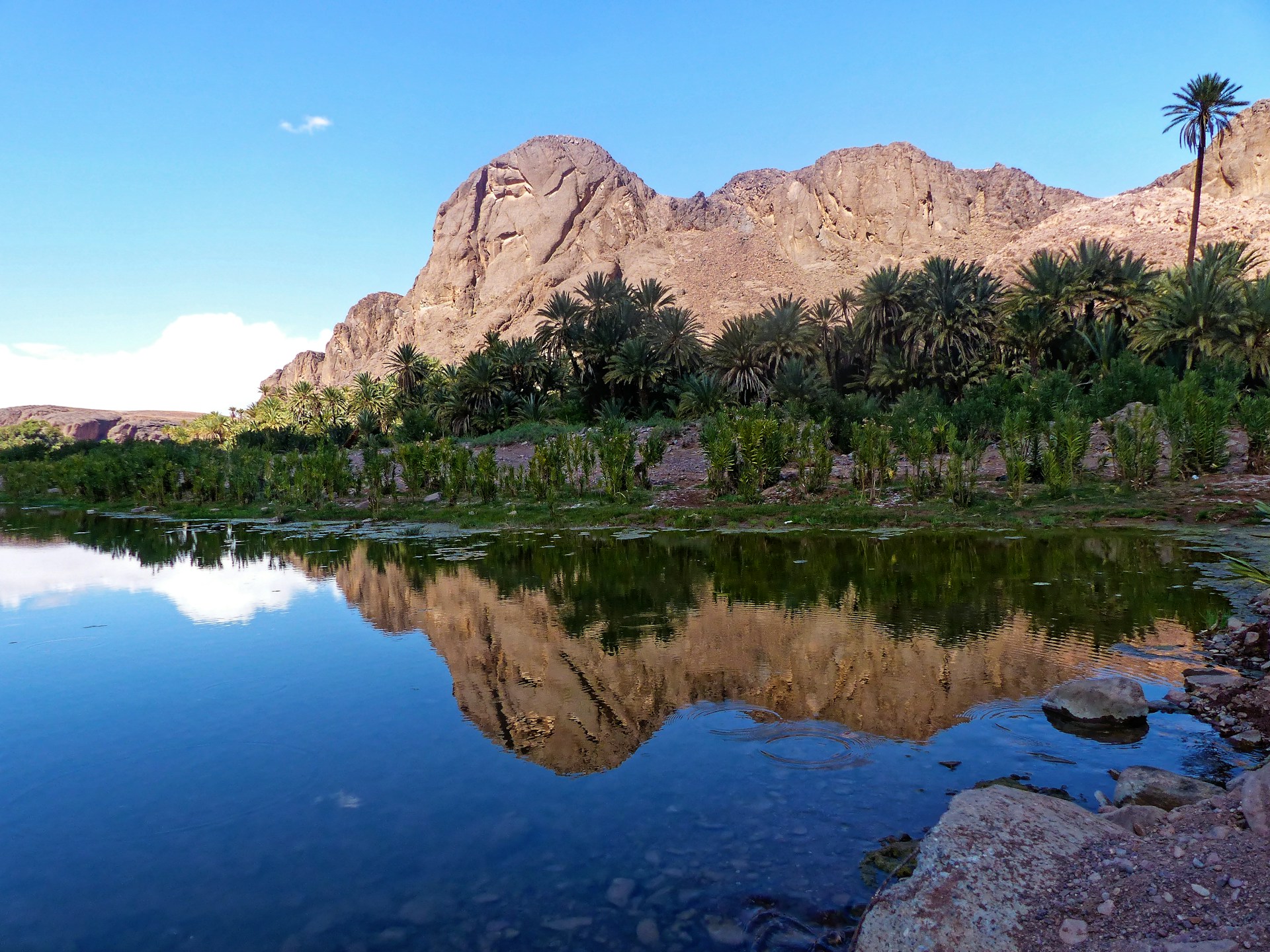 Paysage désertique au Maroc